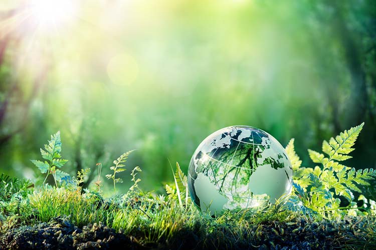 Sustainability in Invoicing: Reducing Your Carbon Footprint